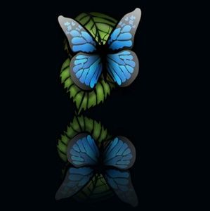 Meet your Posher, Rolayne